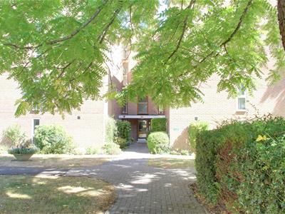 Picture 20